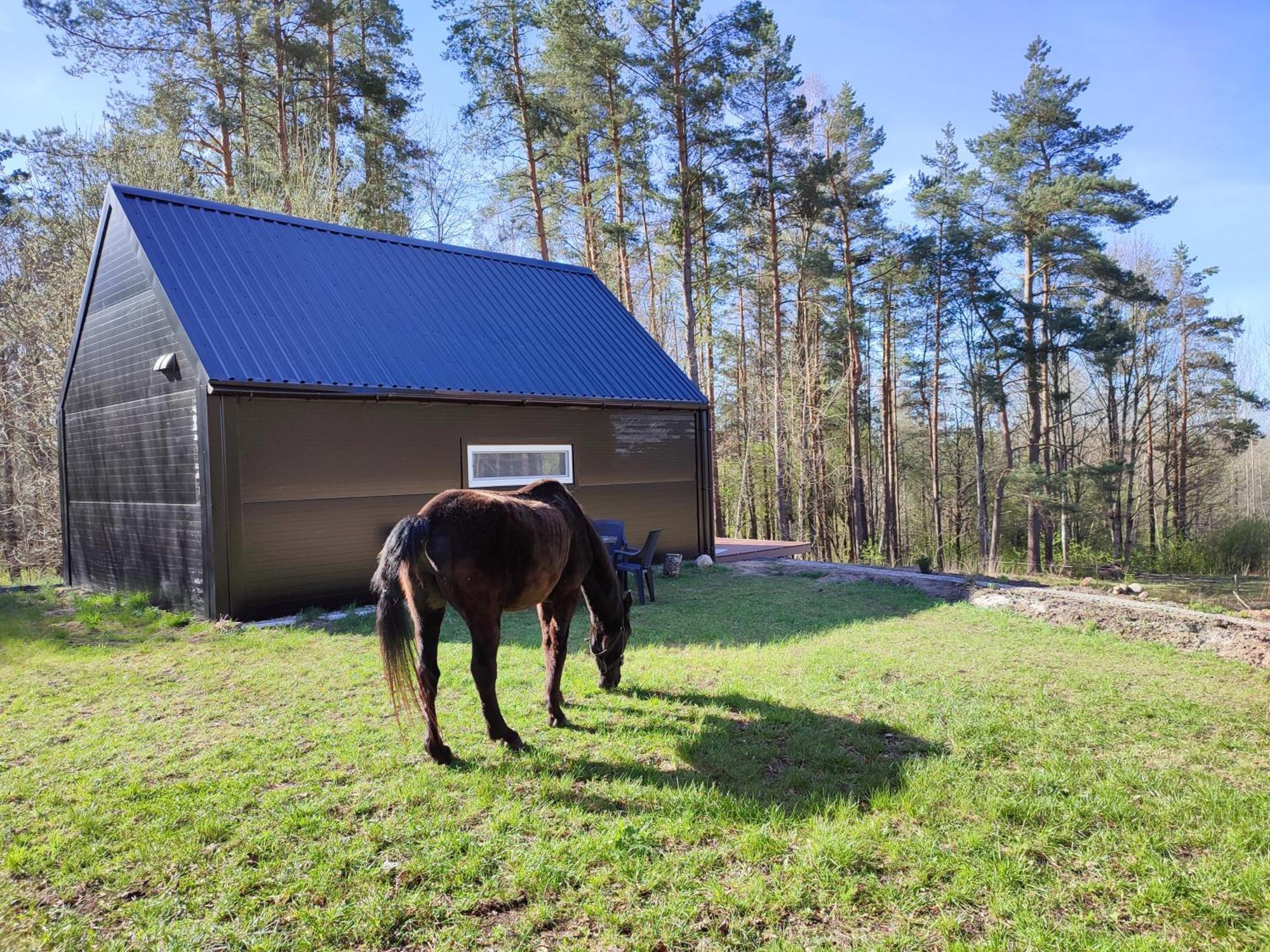 Modern Sauna Cabin In Horse Ranch Liyeplauke Exterior photo